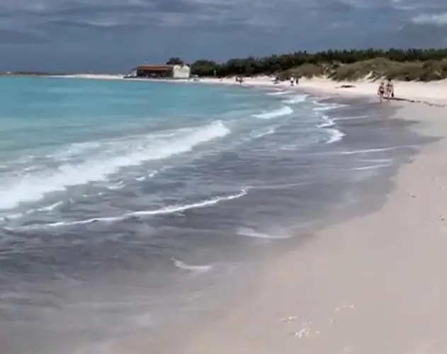 A Due Passi Dal Mare Semesterbostad *